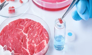 Лабораторный анализ пищевых продуктов по СанПиН в Челябинске в октябре