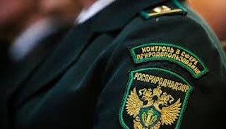 Подготовка к проверке Росприроднадзора в Челябинске от ПромМир, стоимость услуги от 20624 руб.